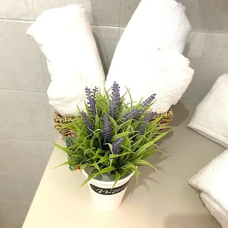 Apartamento Mi & Ti *
