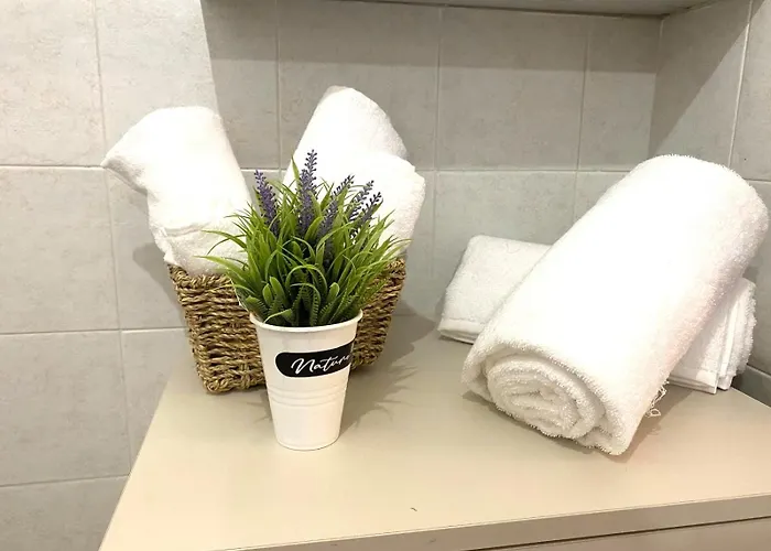 Mi & Ti Appartement CastellʼAlfero